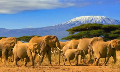 The Top 10 Tourist Destinations in Tanzania | Traveling Across Africa