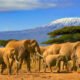 The Top 10 Tourist Destinations in Tanzania | Traveling Across Africa