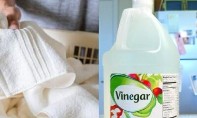 Using vinegar is the most effective method to achieve cleaner and fresher clothing