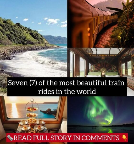 Seven (7) of the most beautiful train rides in the world