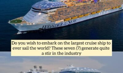 Do you wish to embark on the largest cruise ship to ever sail the world? These seven (7) generate quite a stir in the industry